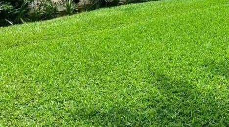 Terrain en vente à Beverly hill&rsquo;s